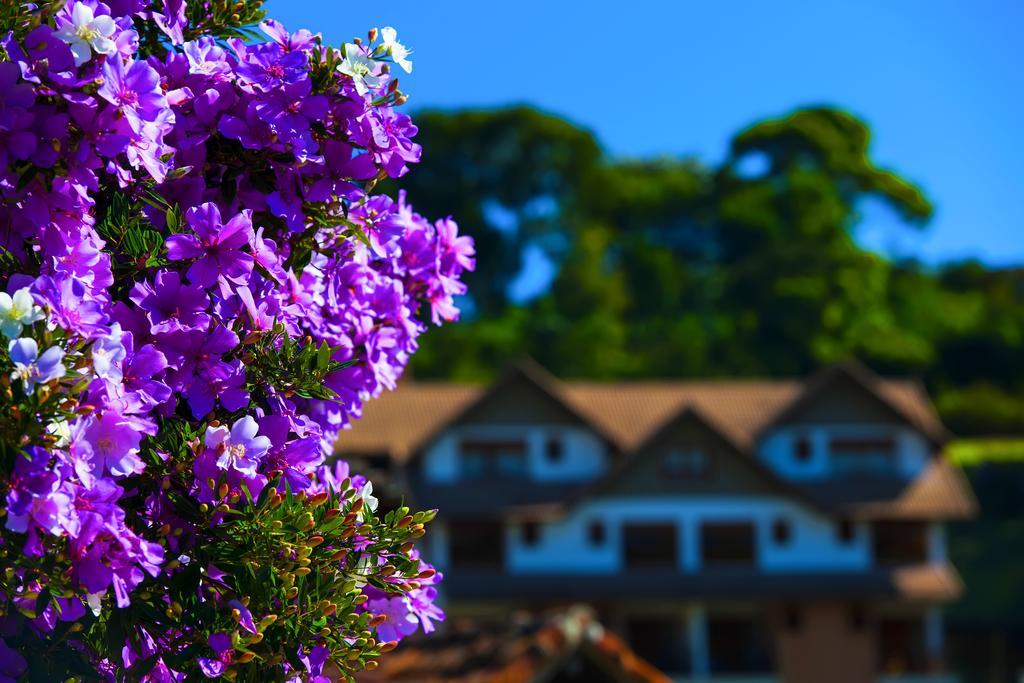 Pousada Dos Pinhos Hotell Pedra Azul  Eksteriør bilde